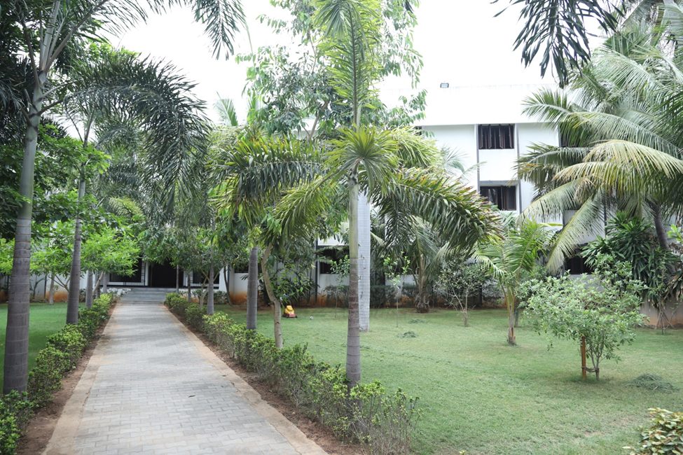 Hostel garden